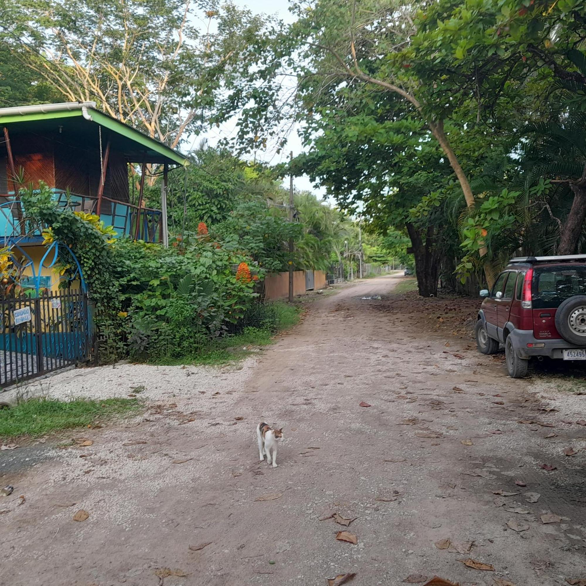Cabinas Del Mar Samara Bagian luar foto